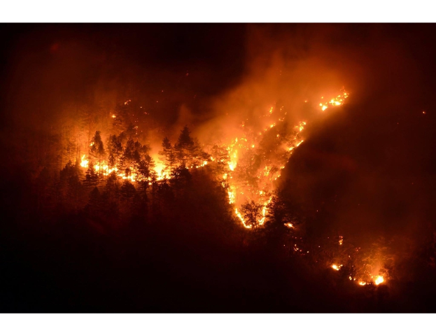 Regione Piemonte: Stato massima pericolosità incendi boschivi