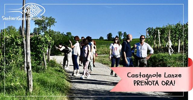 Castagnole delle Lanze | Sentieri Gastronomici - Tour tra vino e nocciole all’ombra della torre