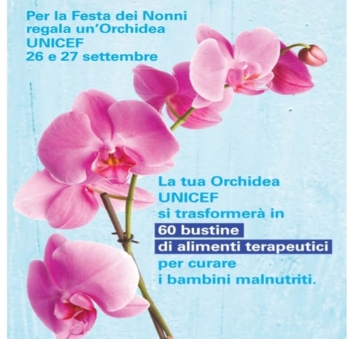 Castagnole delle Lanze | Orchidea UNICEF 2020